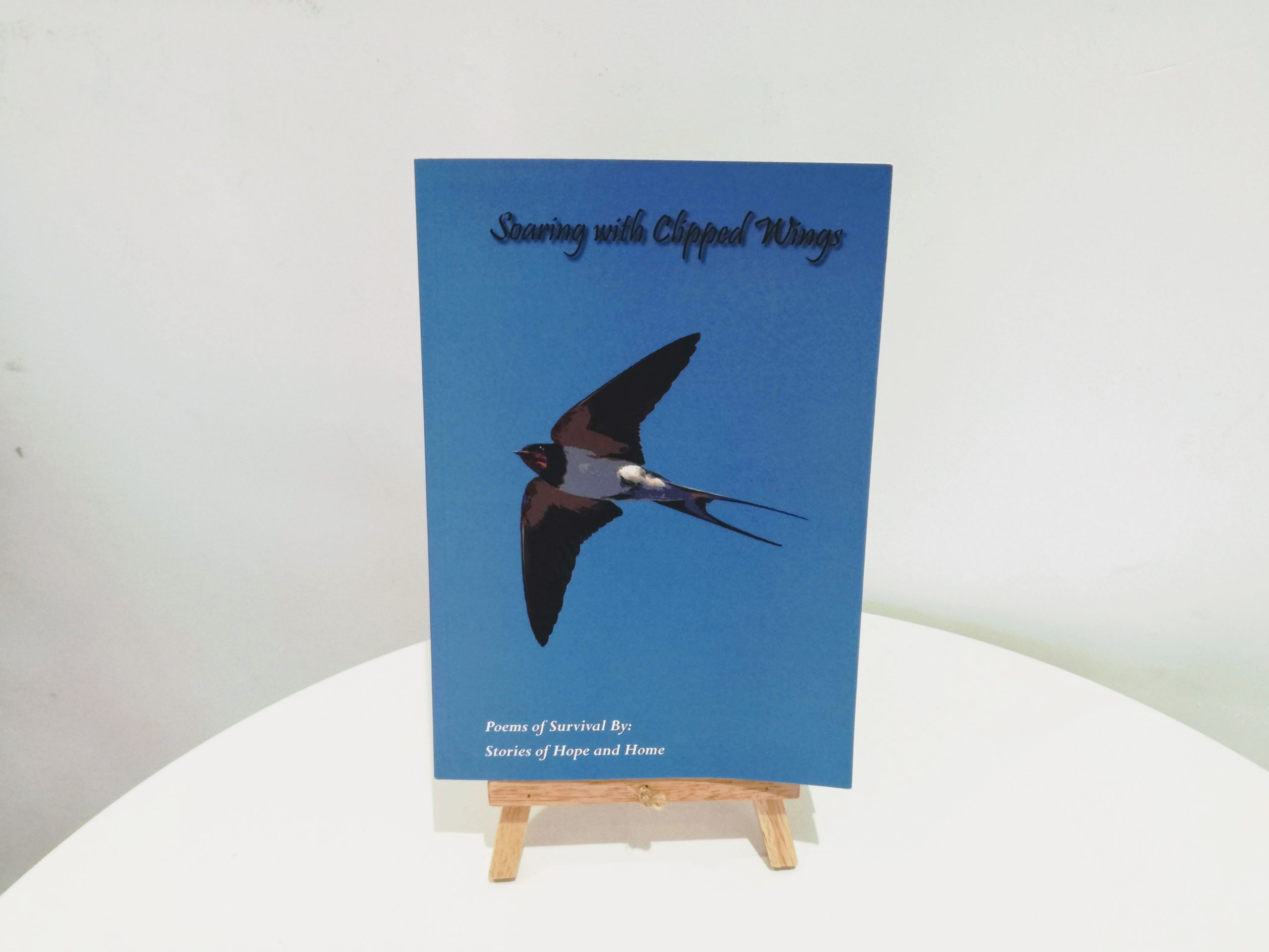 Poetry from Refugees on Sale